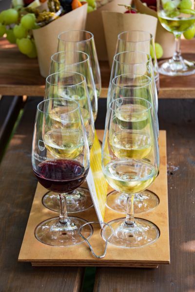 Wine tasting activity on ile d'Orléans