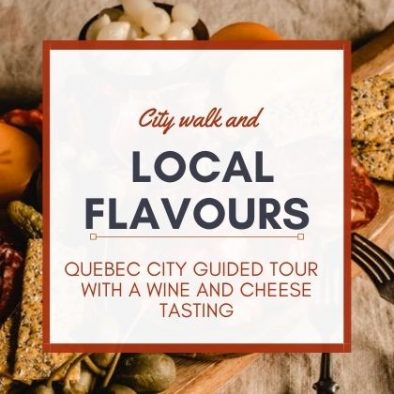 Full Day Private Tour wine tasting in quebec