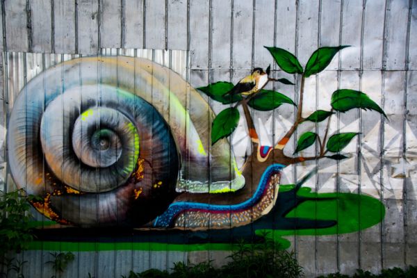 snail street art in limoilou quebec