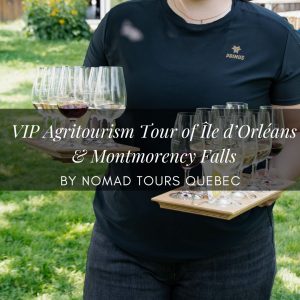 food tour ile orleans review